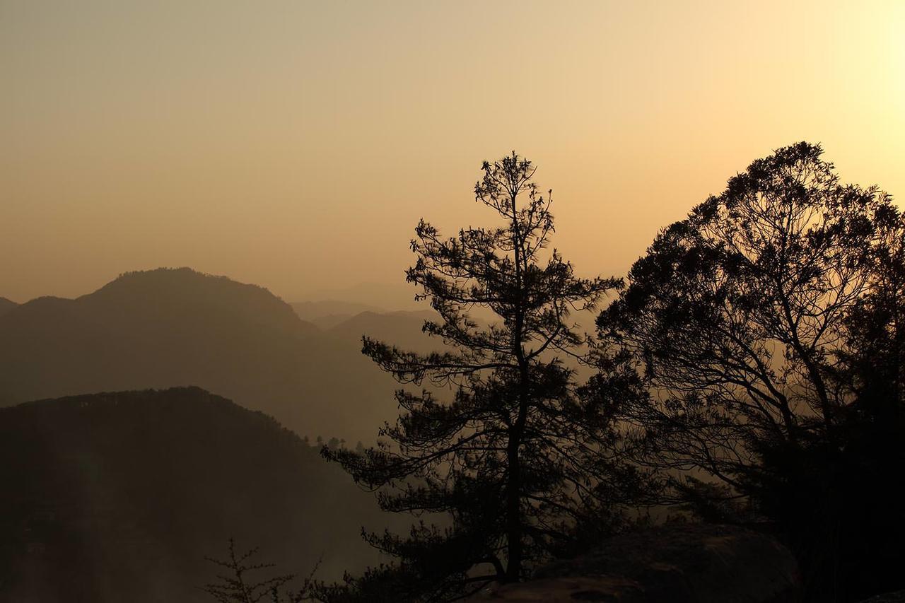 The Naldehra Shimla Exterior foto